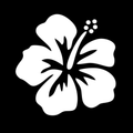 Stencils Flor Hibiscu (5 unidades)