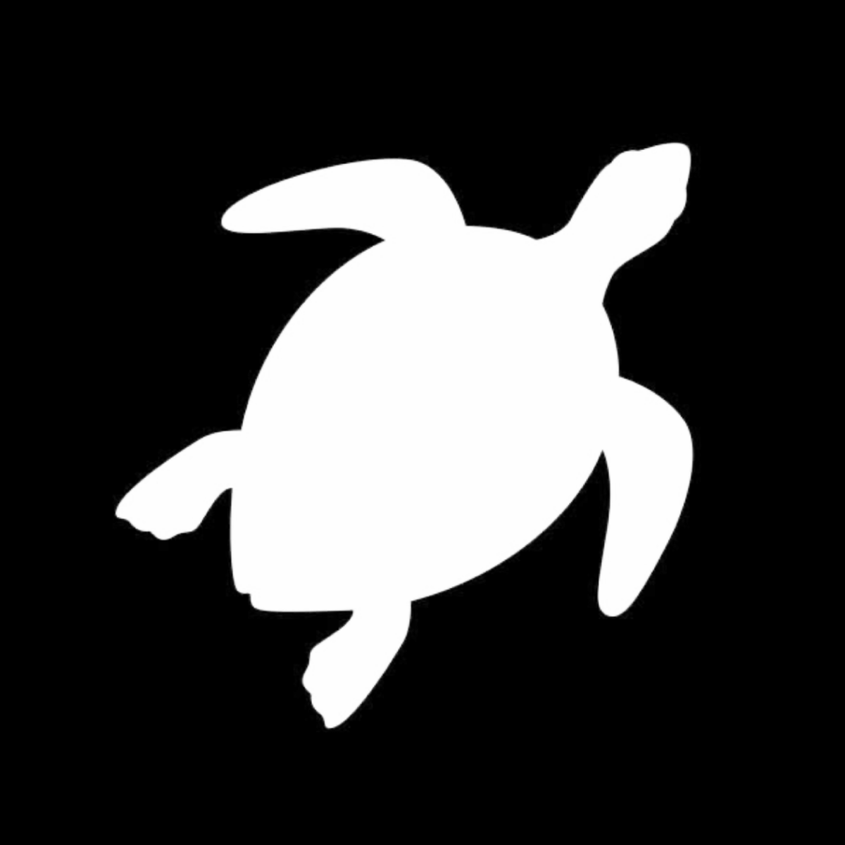 Plantillas Tortuga (5 unidades)